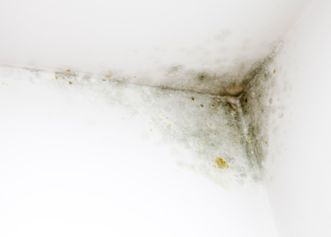 The Provision of Anti-Humidity Solutions  malta, CA Gypsum | Plastering & Boards Installation malta